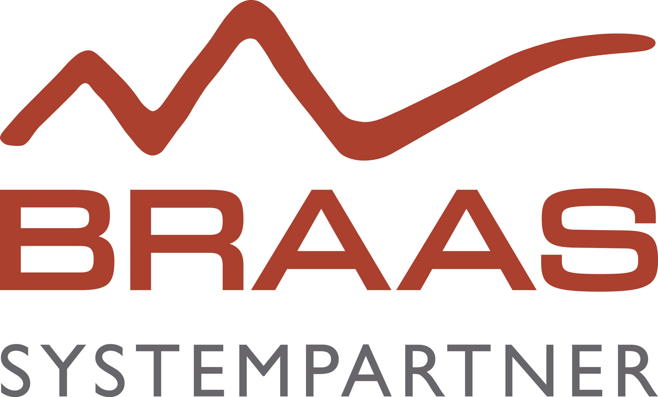 Braas SystemPartner Club